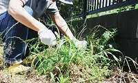 草刈り・美観アップ